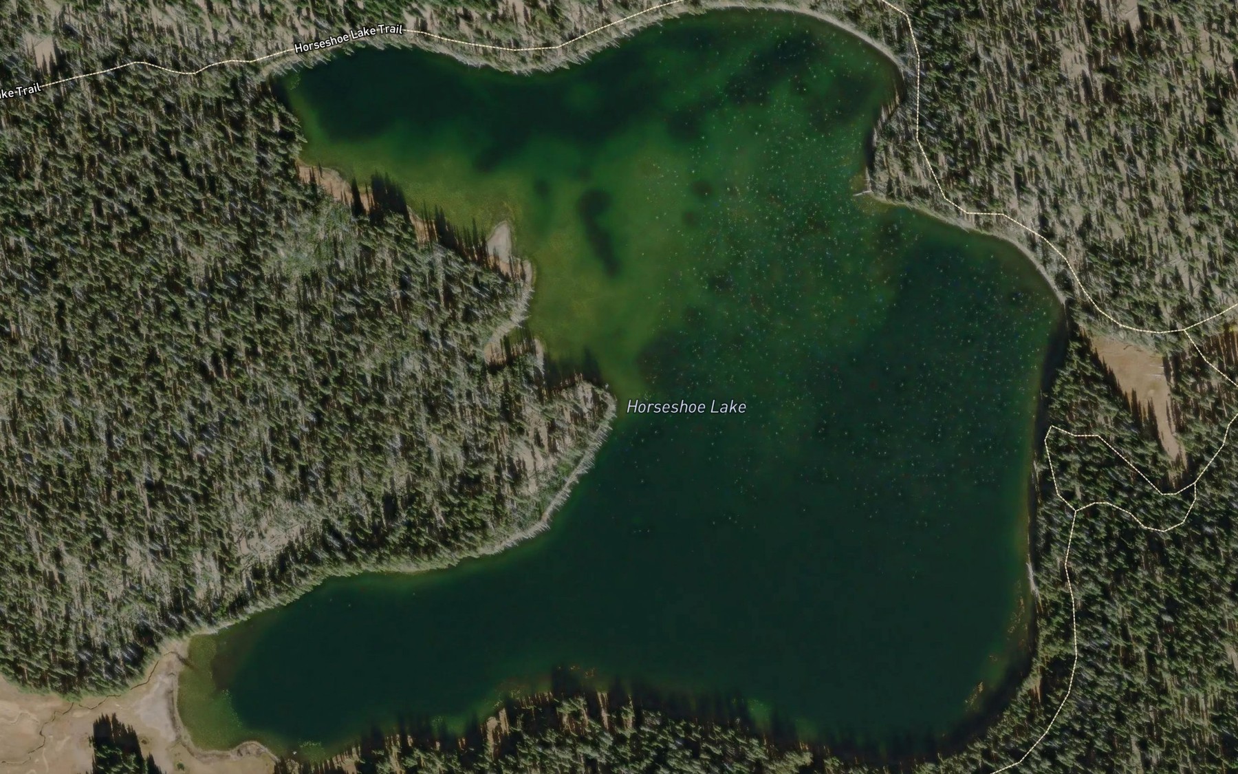 Satellite map of the Horseshoe Lake