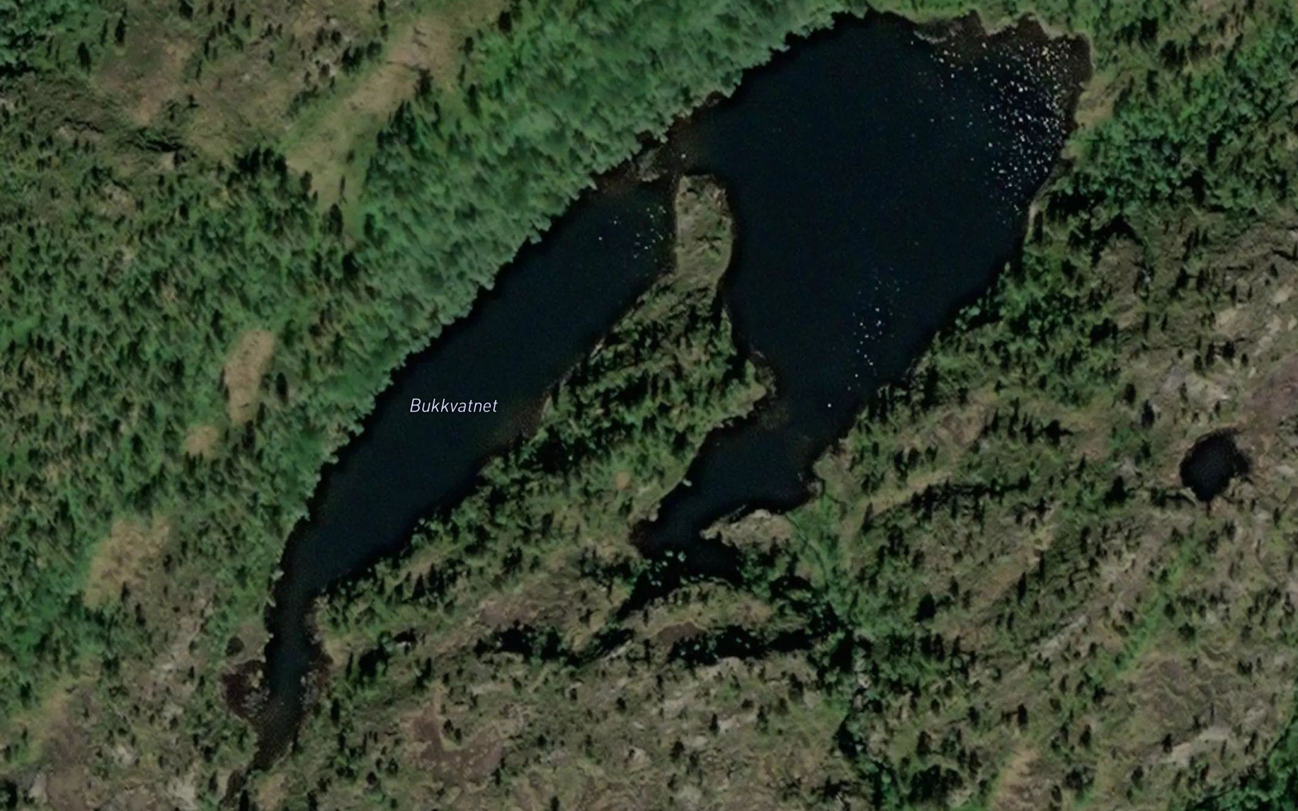 Bukkvatnet