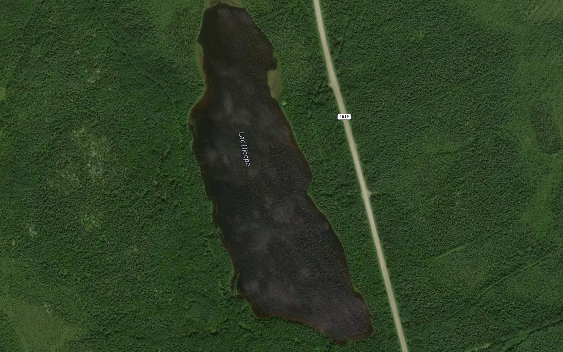 Satellite map of the Lac Dieppe