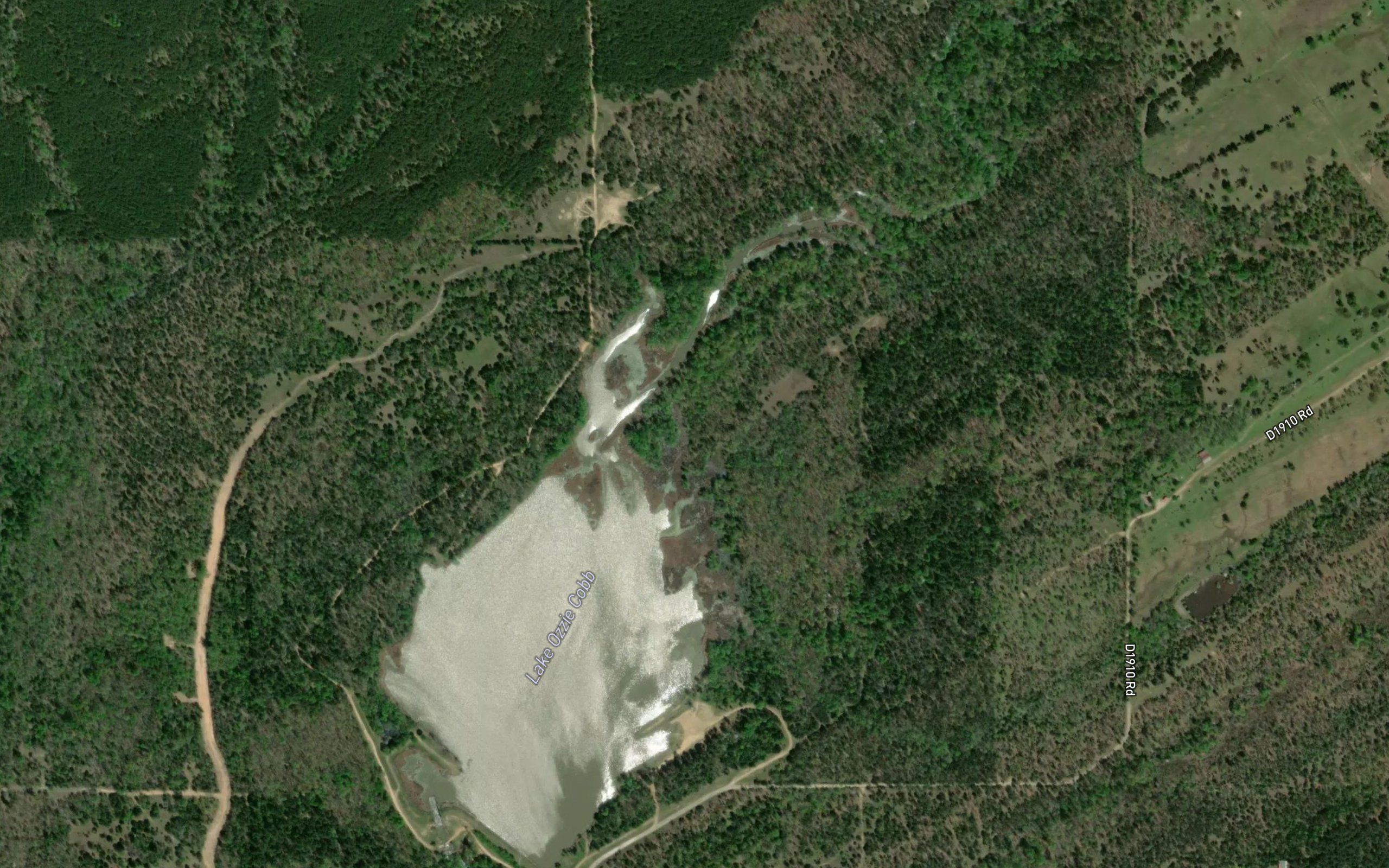 Lake Ozzie Cobb