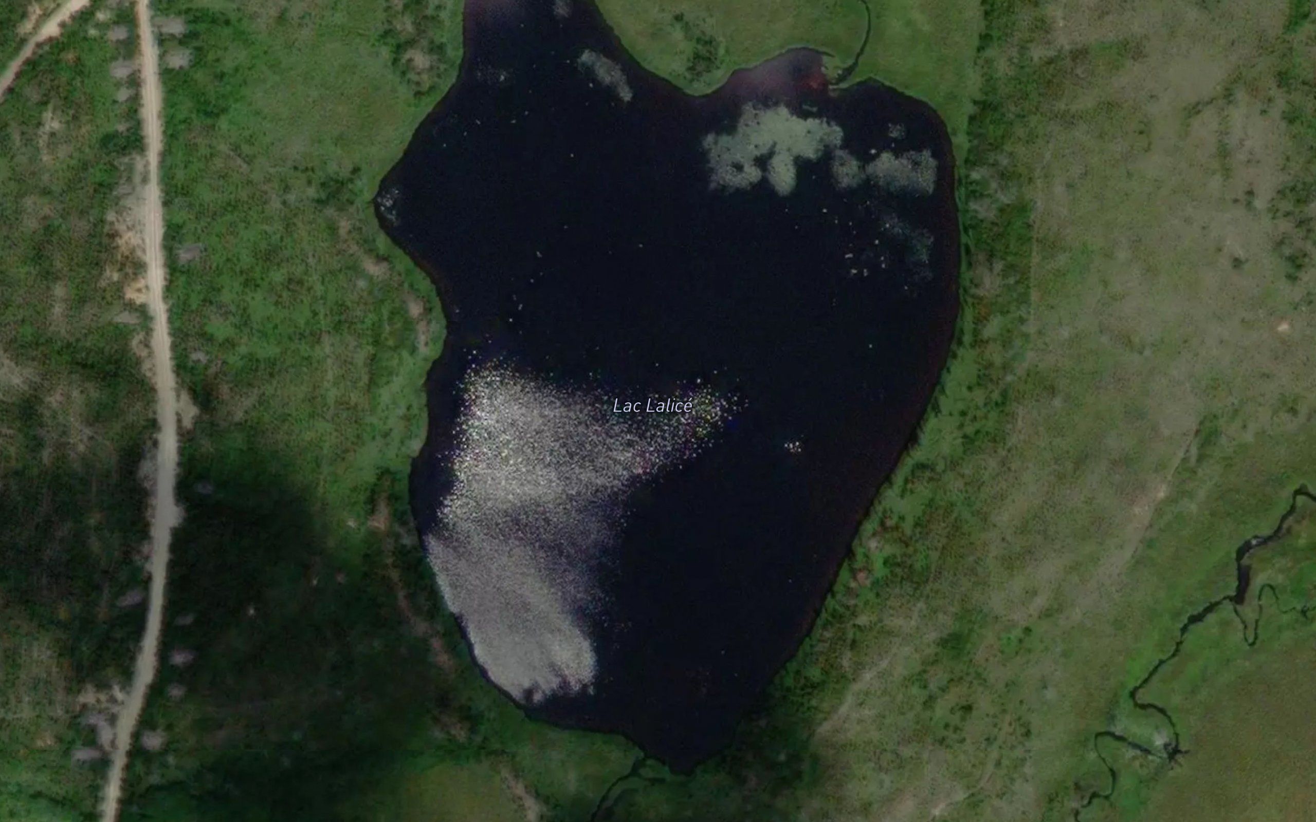 Lac Lalice