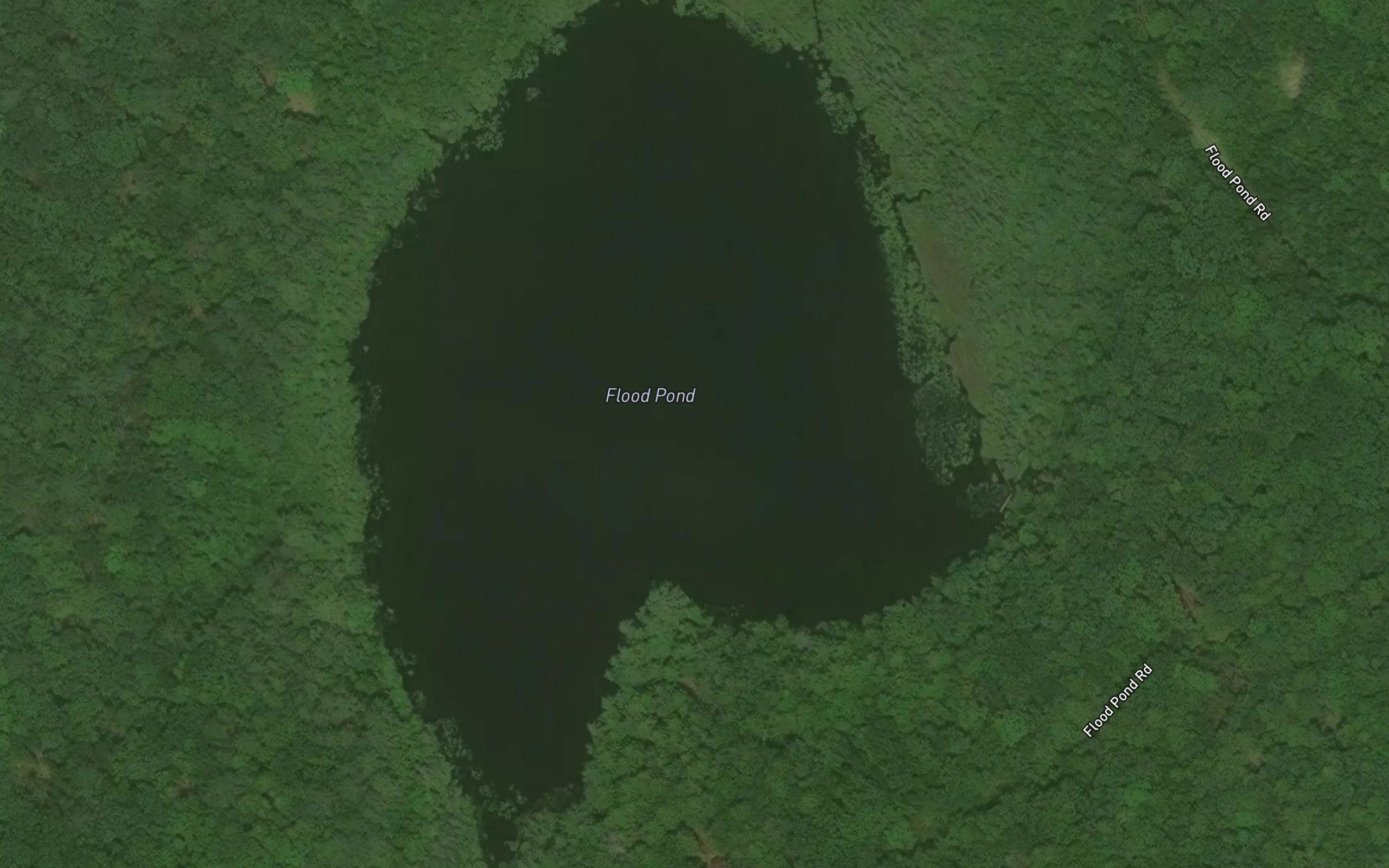 Flood Pond