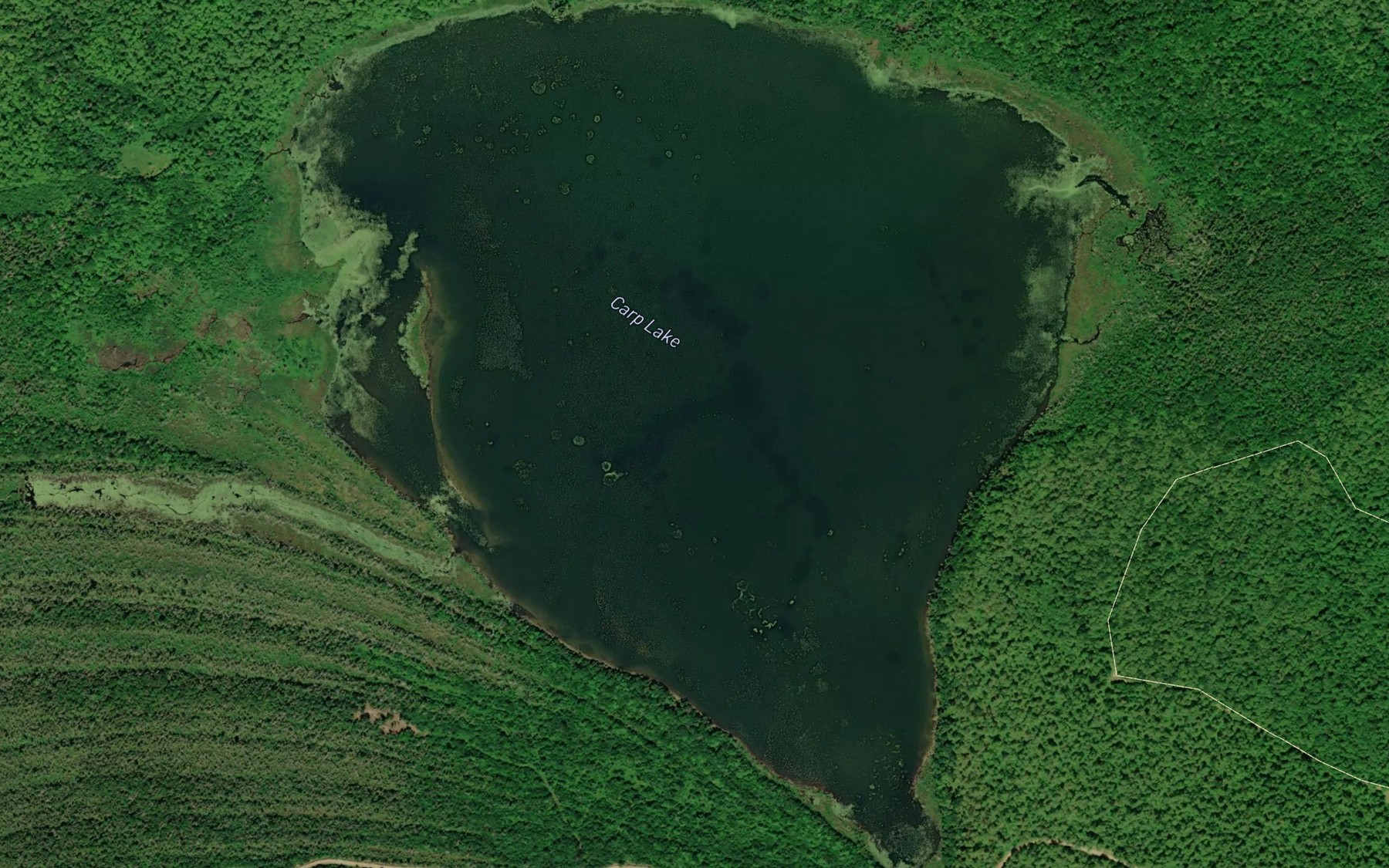 Satellite map of the Carp Lake