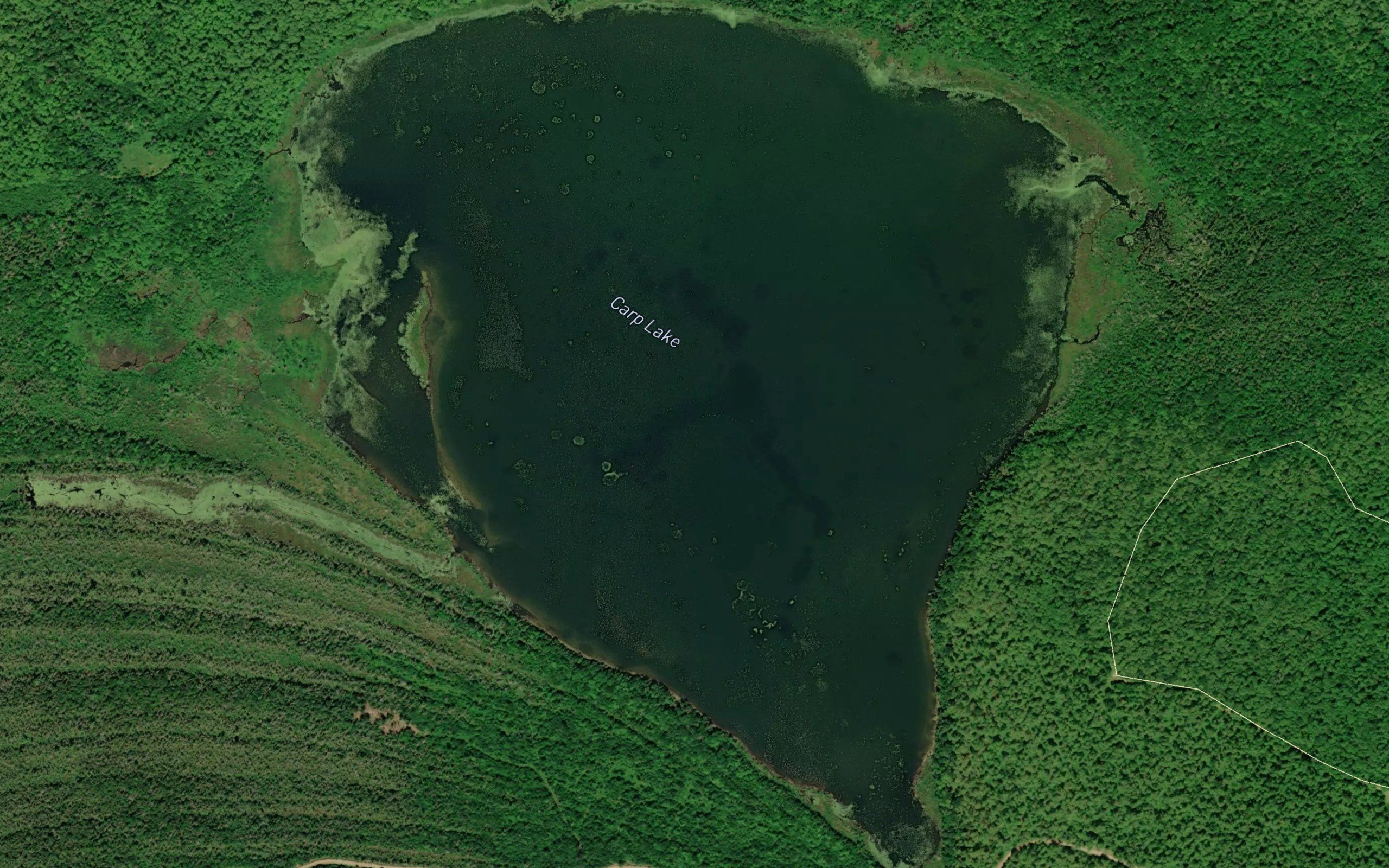 Carp Lake