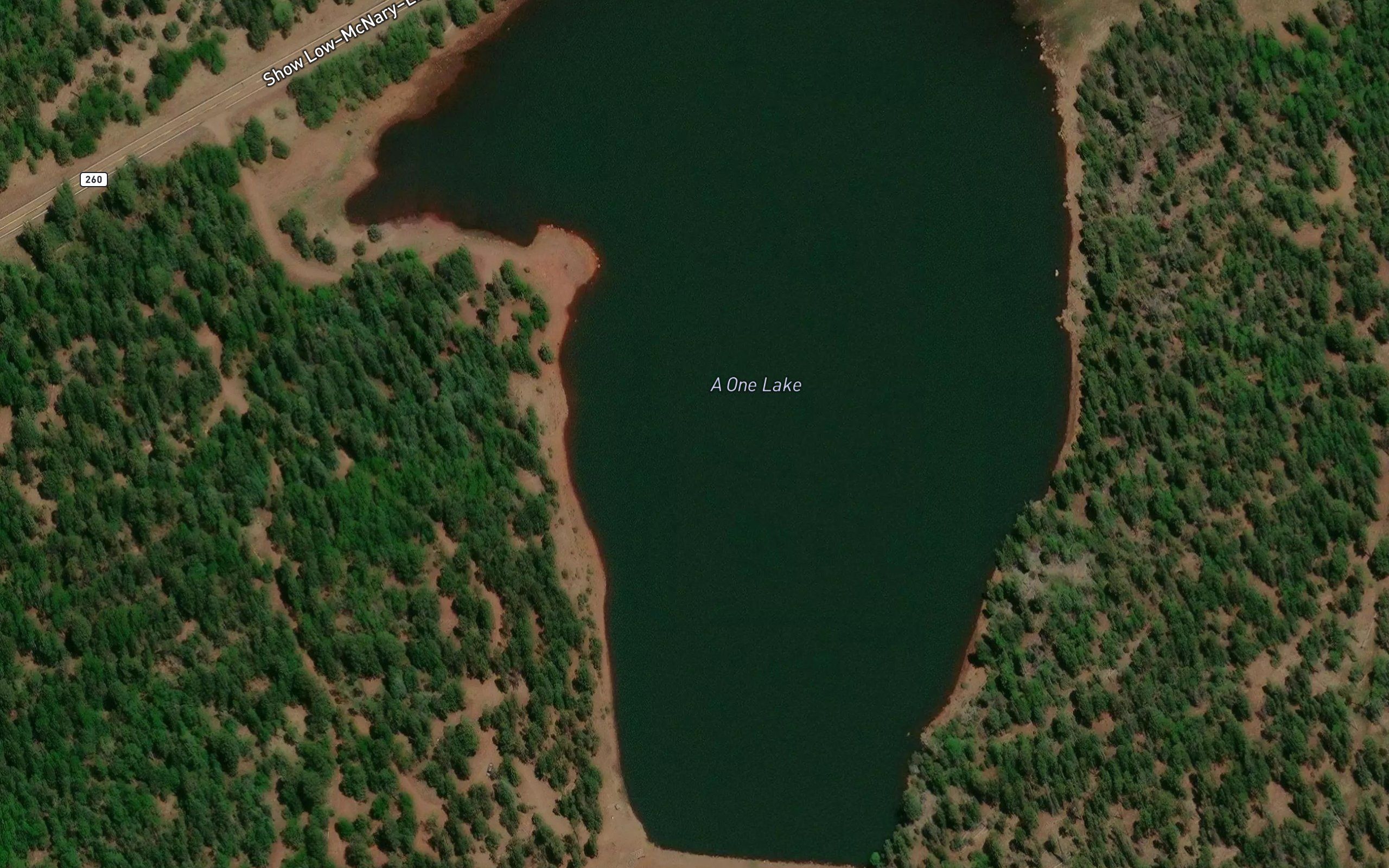 A One Lake