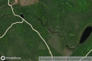 North Branch Olamon Stream