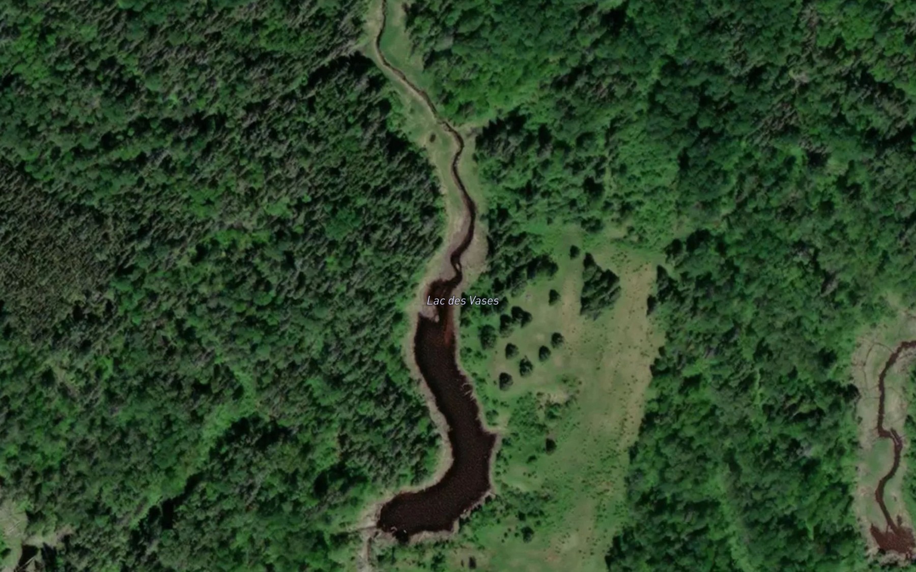 Satellite map of the Lac des Vases