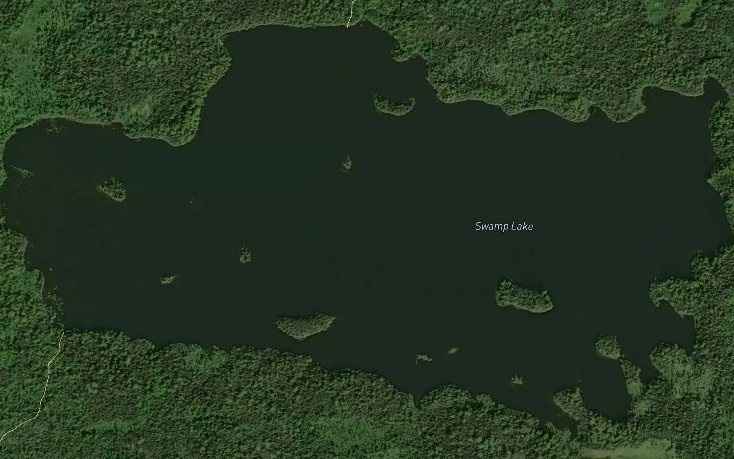 Swamp Lake