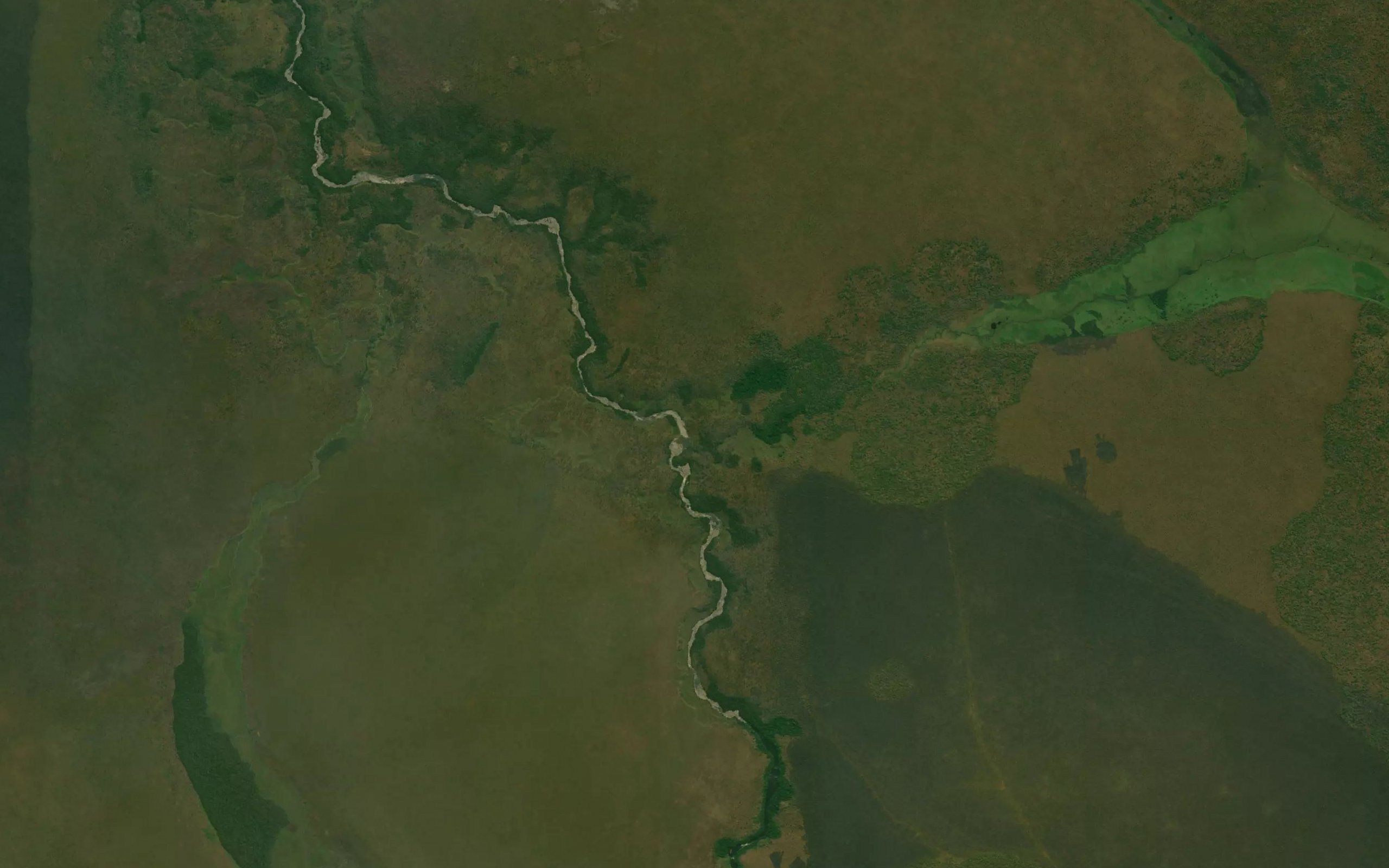 Nguimbo