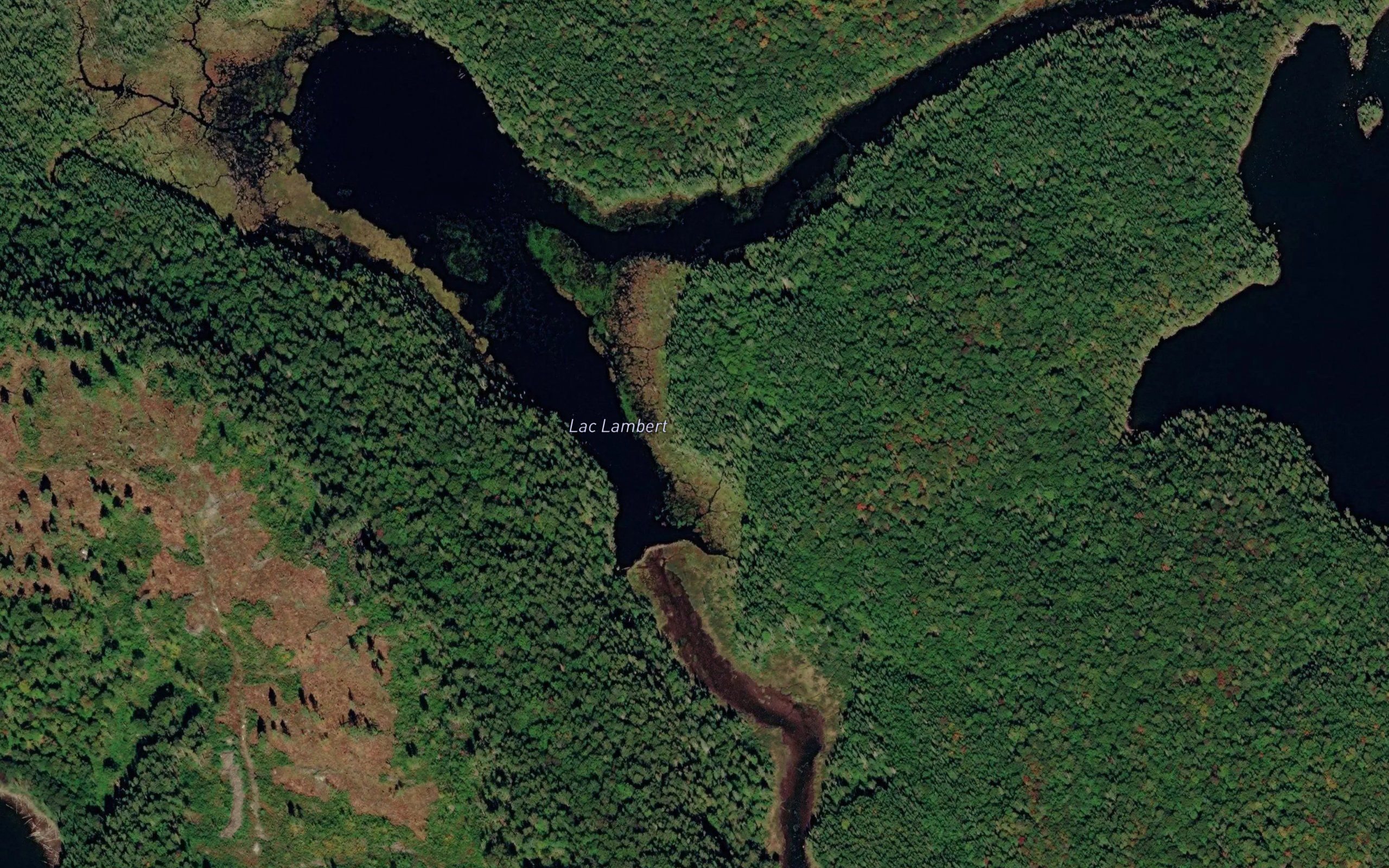 Lac Lambert