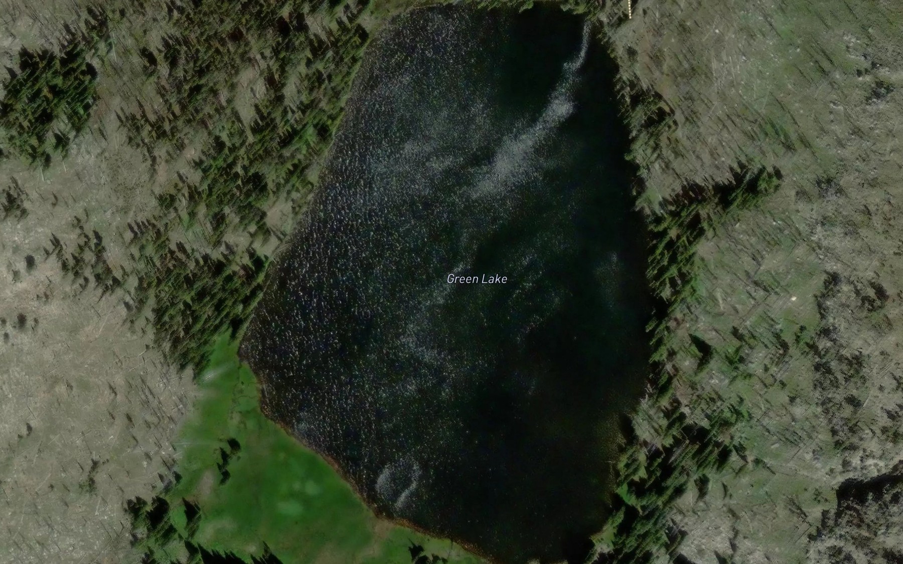 Satellite map of the Green Lake