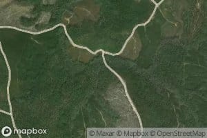 Bledsoe Branch
