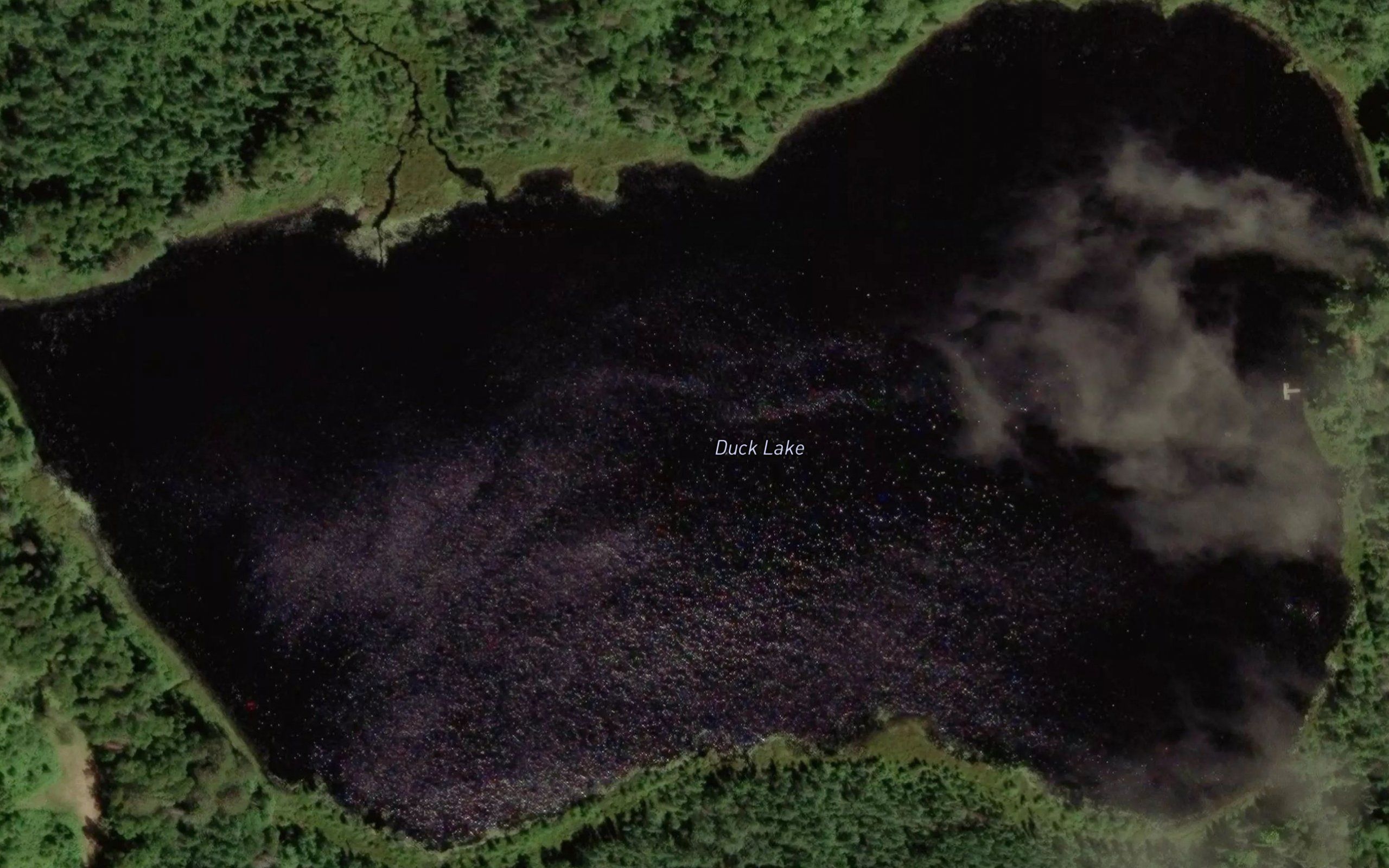 Duck Lake