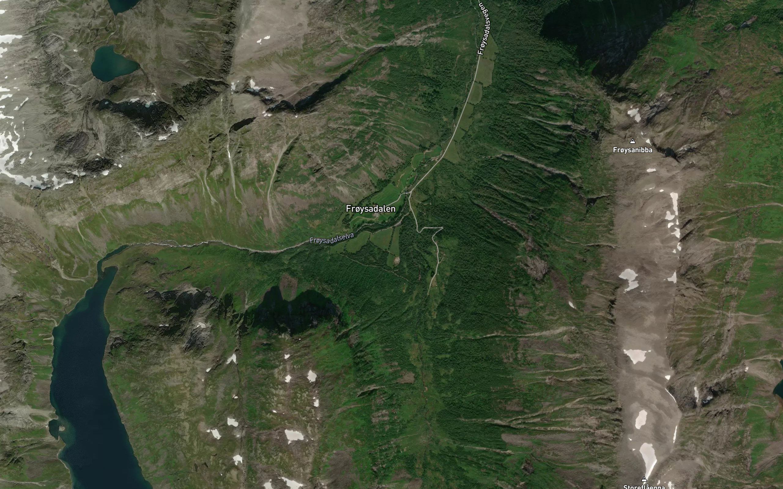 Reitabakkgrova