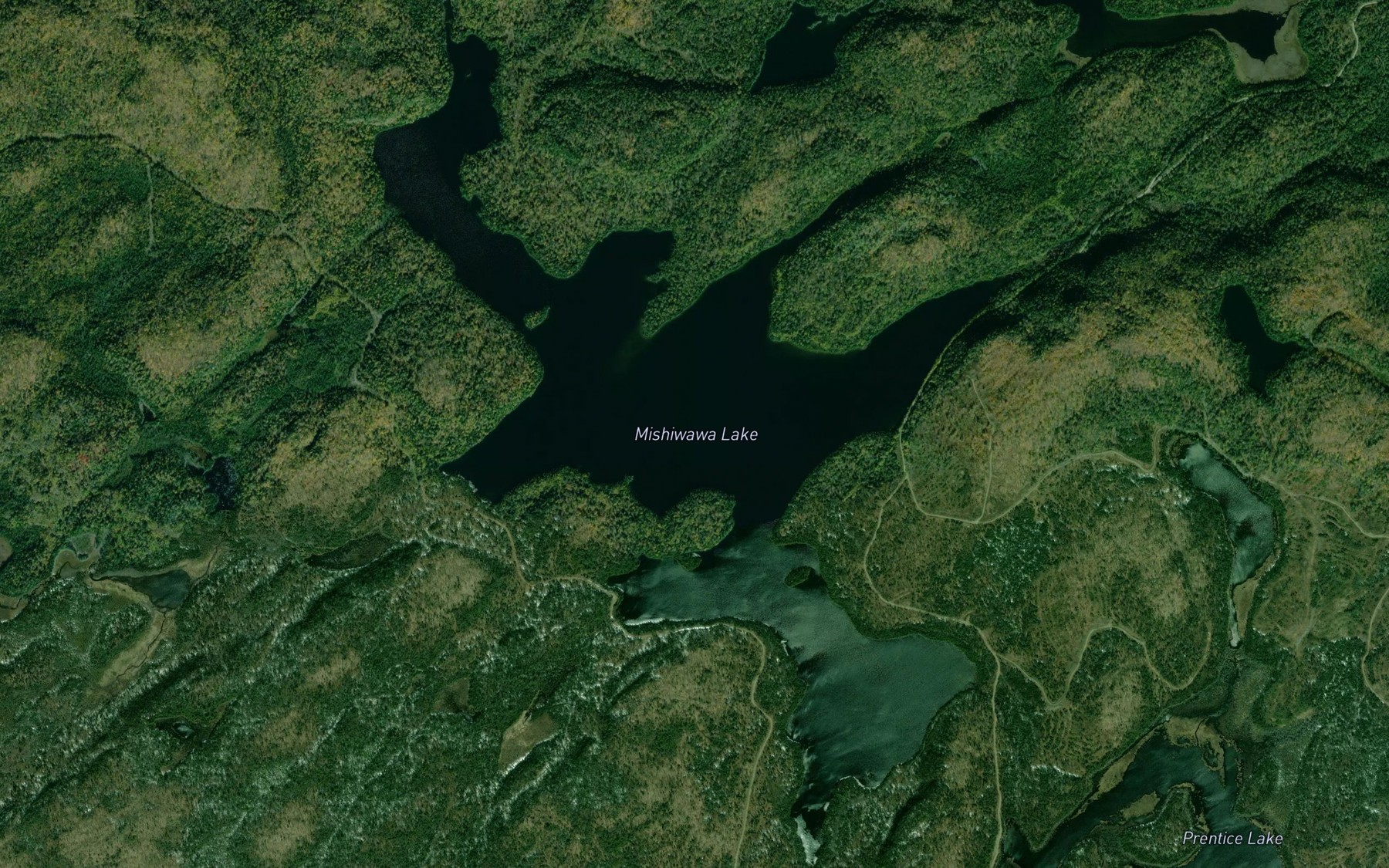 Satellite map of the Mishewawa Lake
