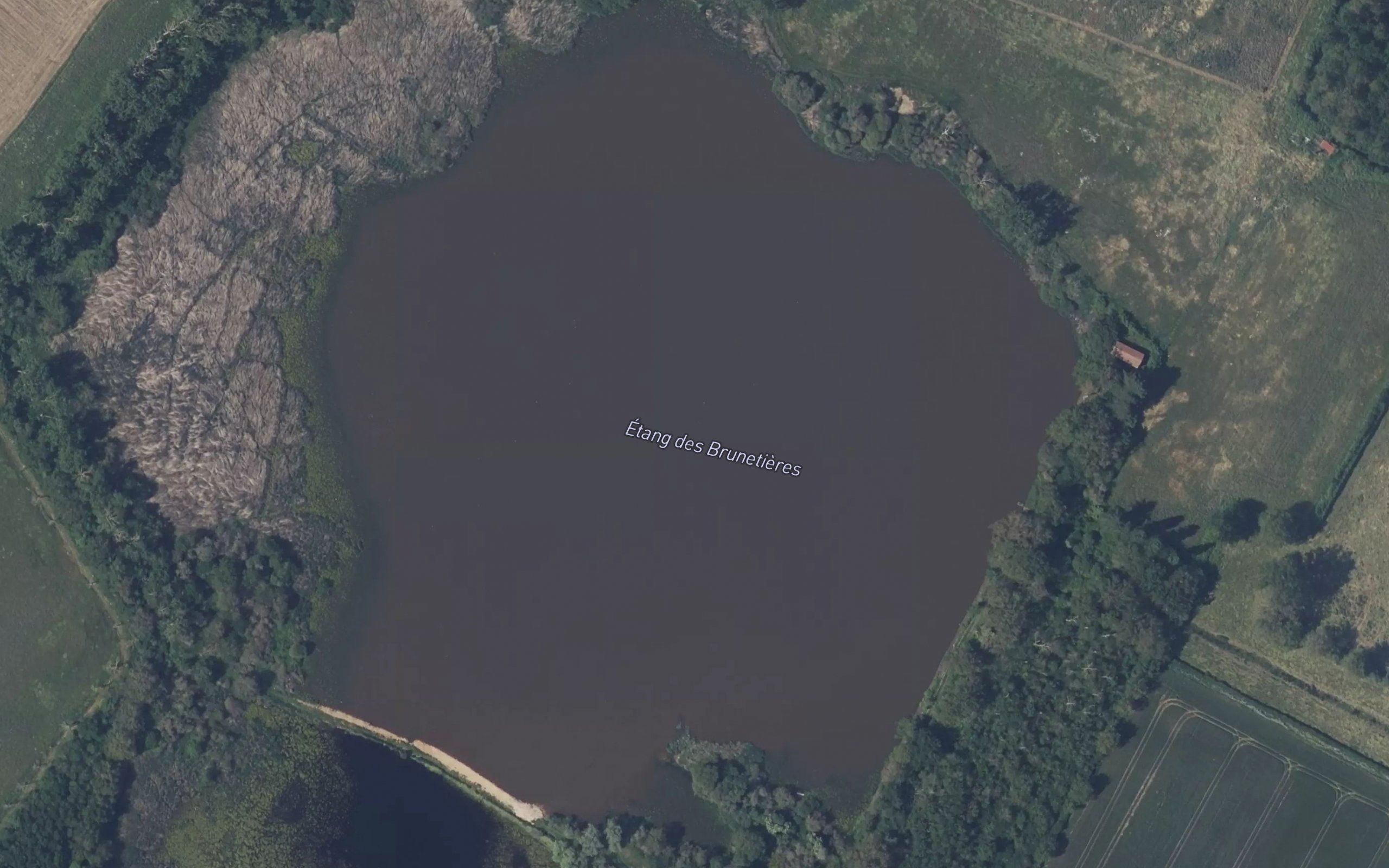 Etang des Brunetieres
