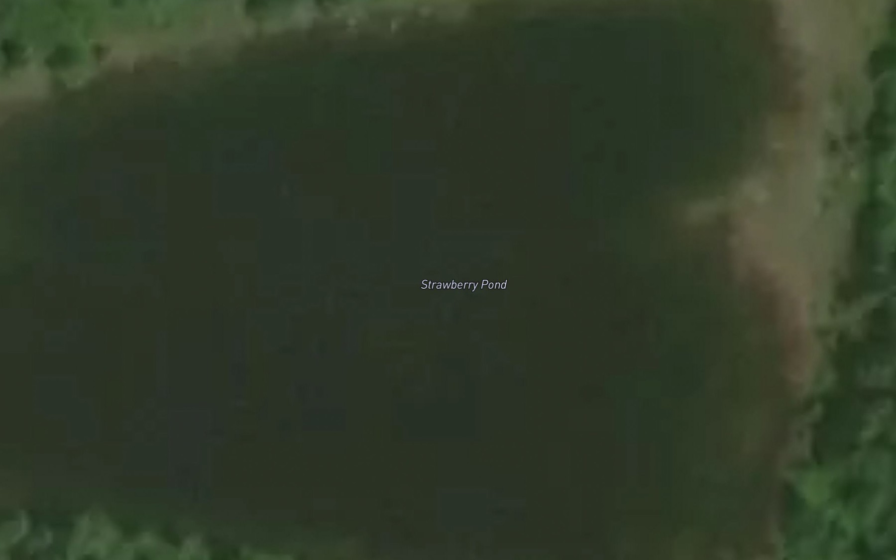 Satellite map of the Strawberry Pond