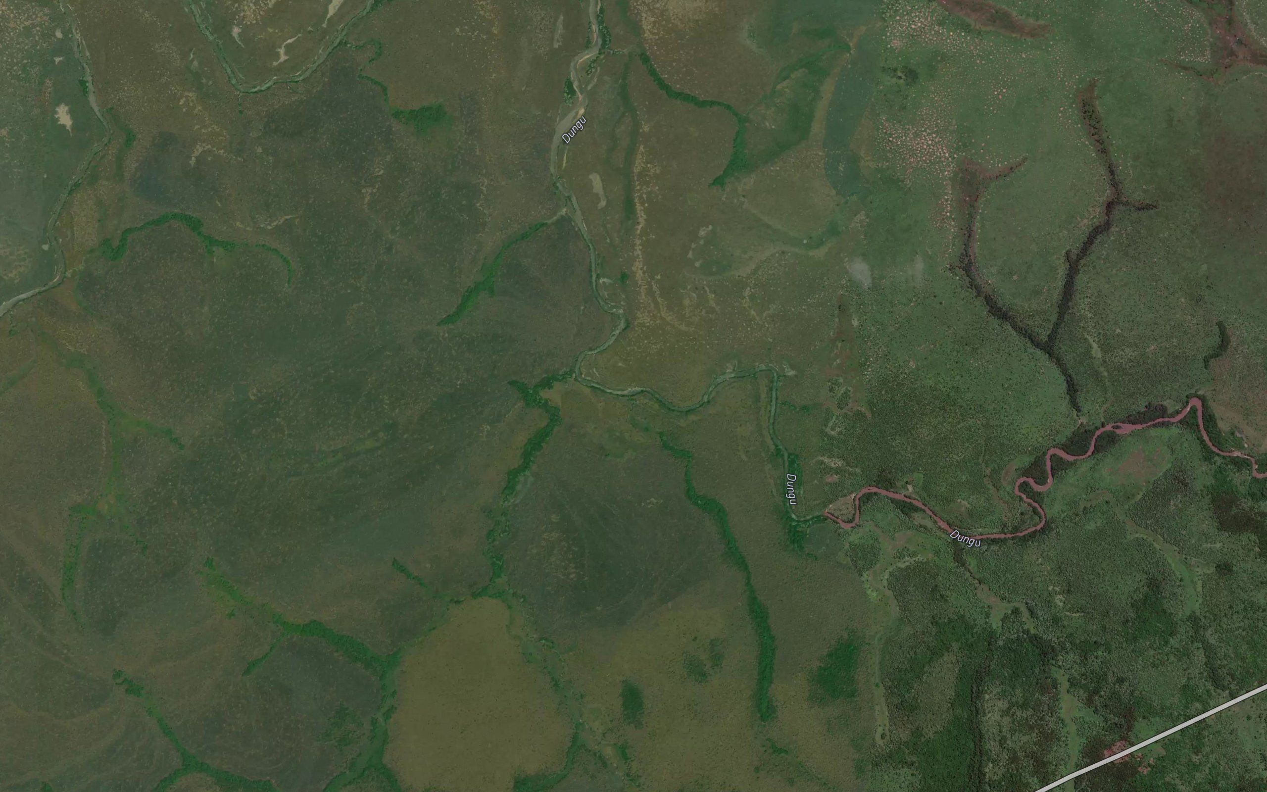 Nasainboli