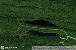 Lac Bison