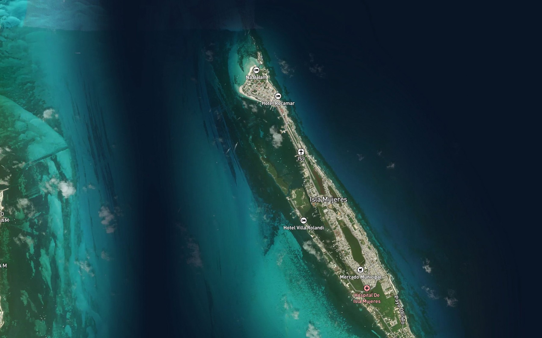 Satellite map of the La Carbonera