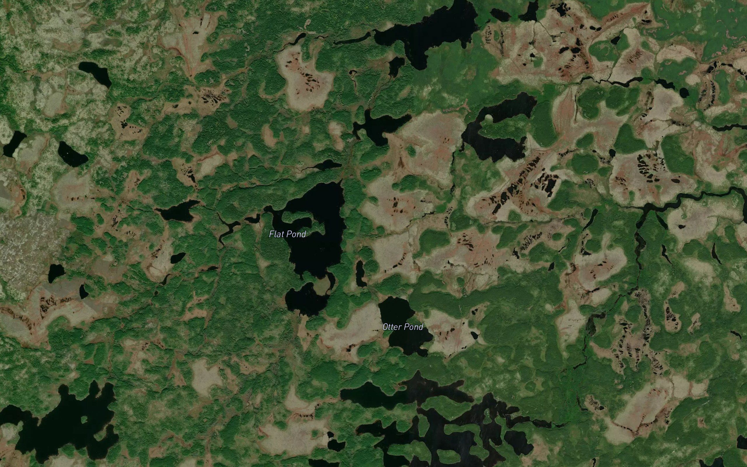 Otter Pond