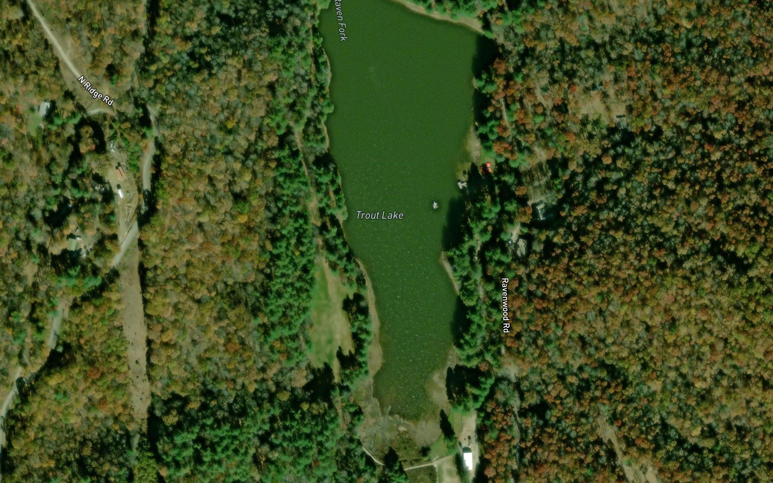 Trout Lake