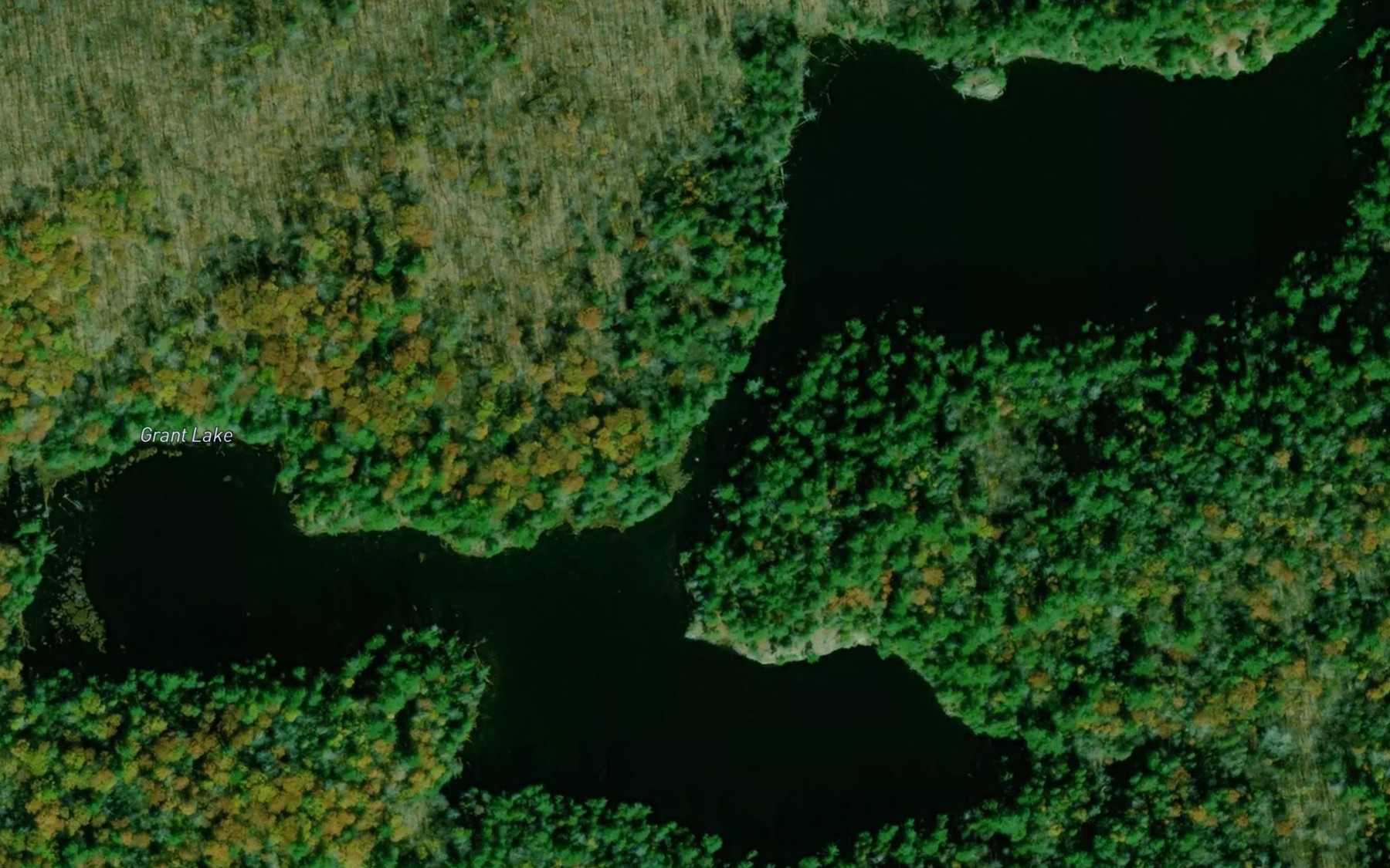 Satellite map of the Grant Lake