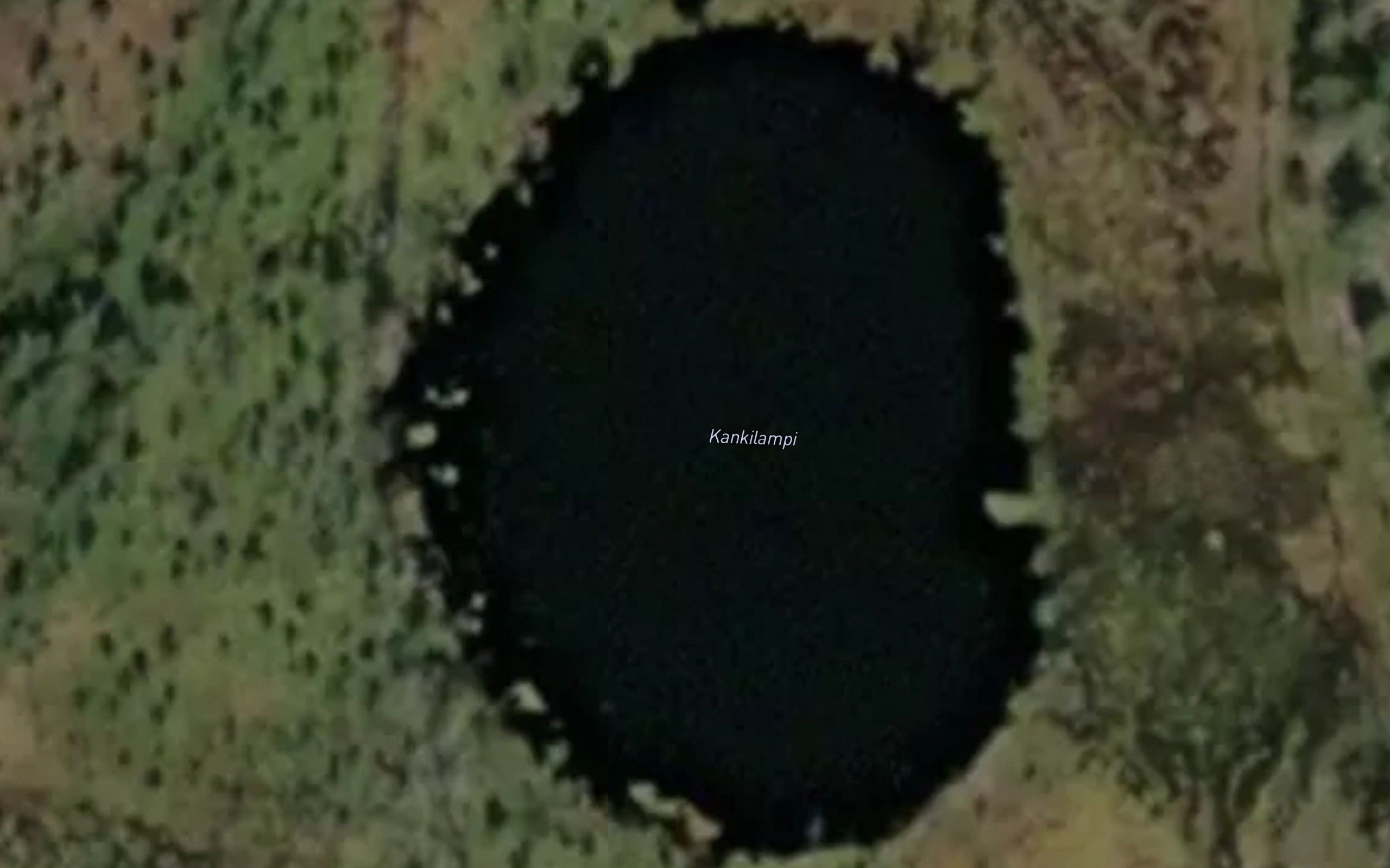Kankilampi