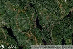 Lac Bacon