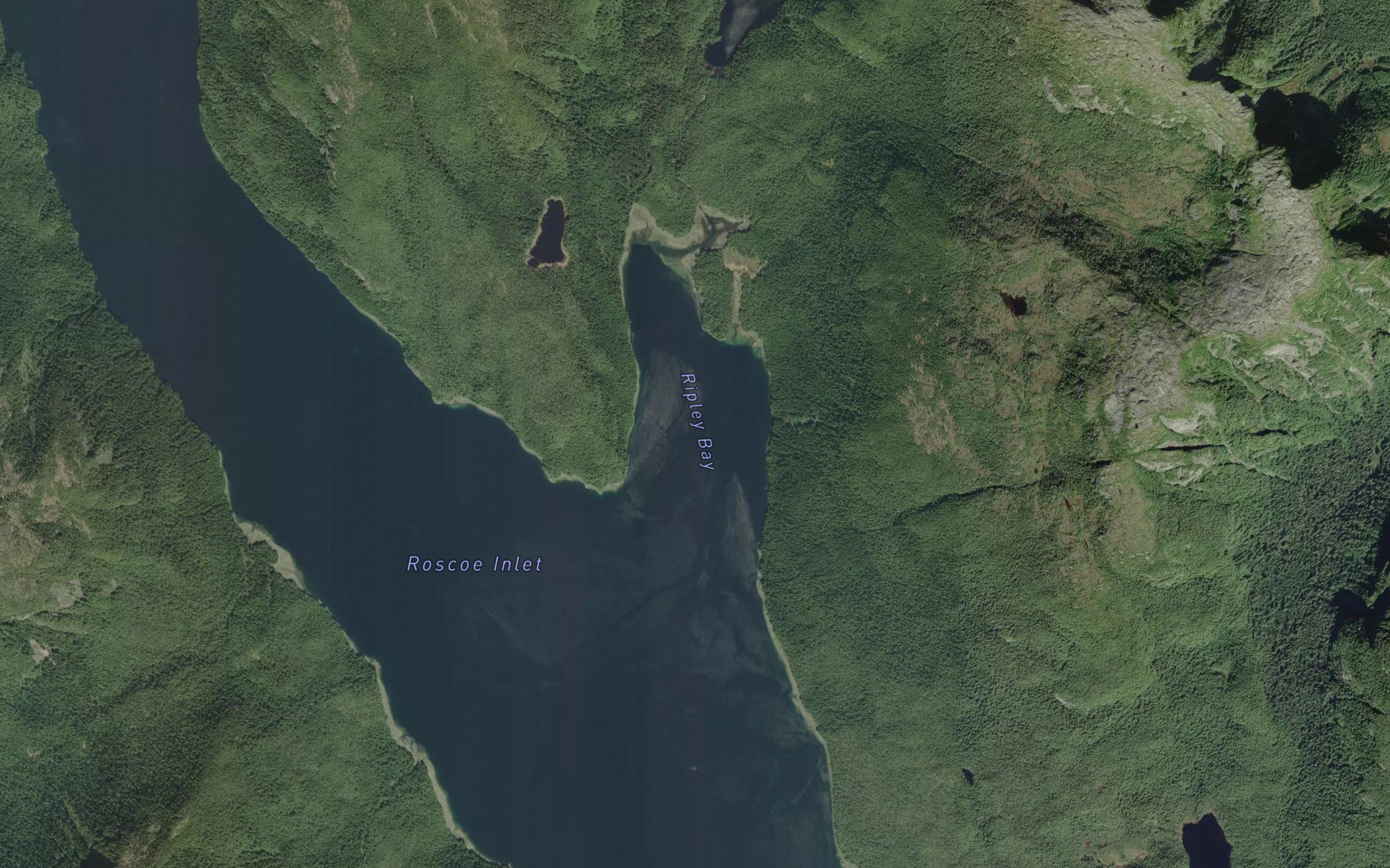Ripley Bay