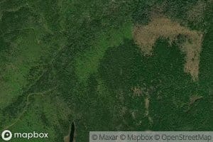 Wildcat Hollow Brook