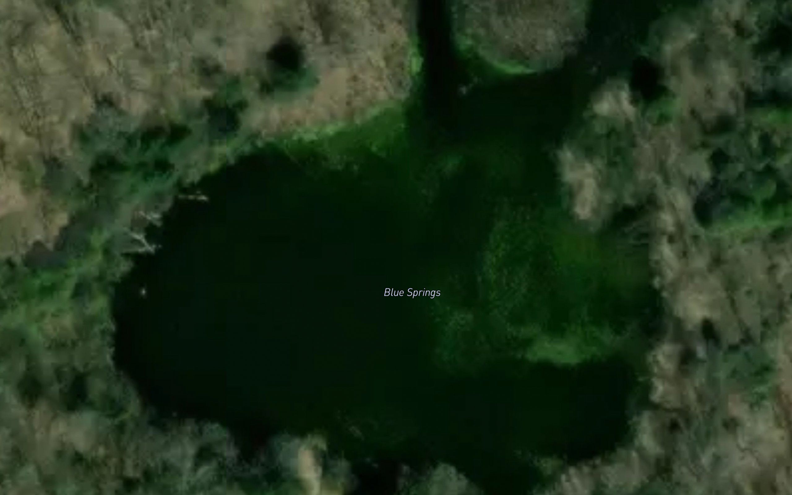 Blue Springs