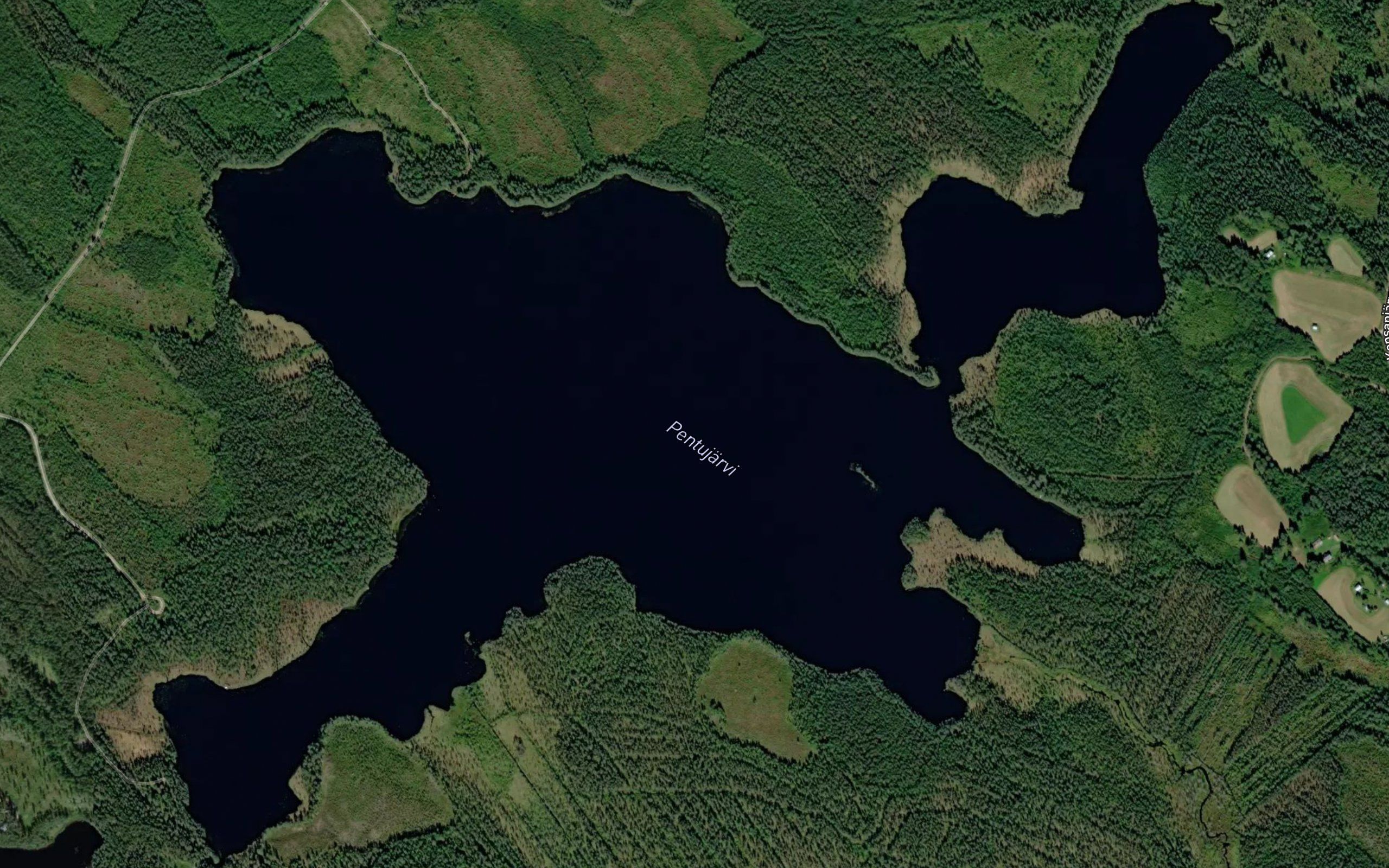 Pentujarvi