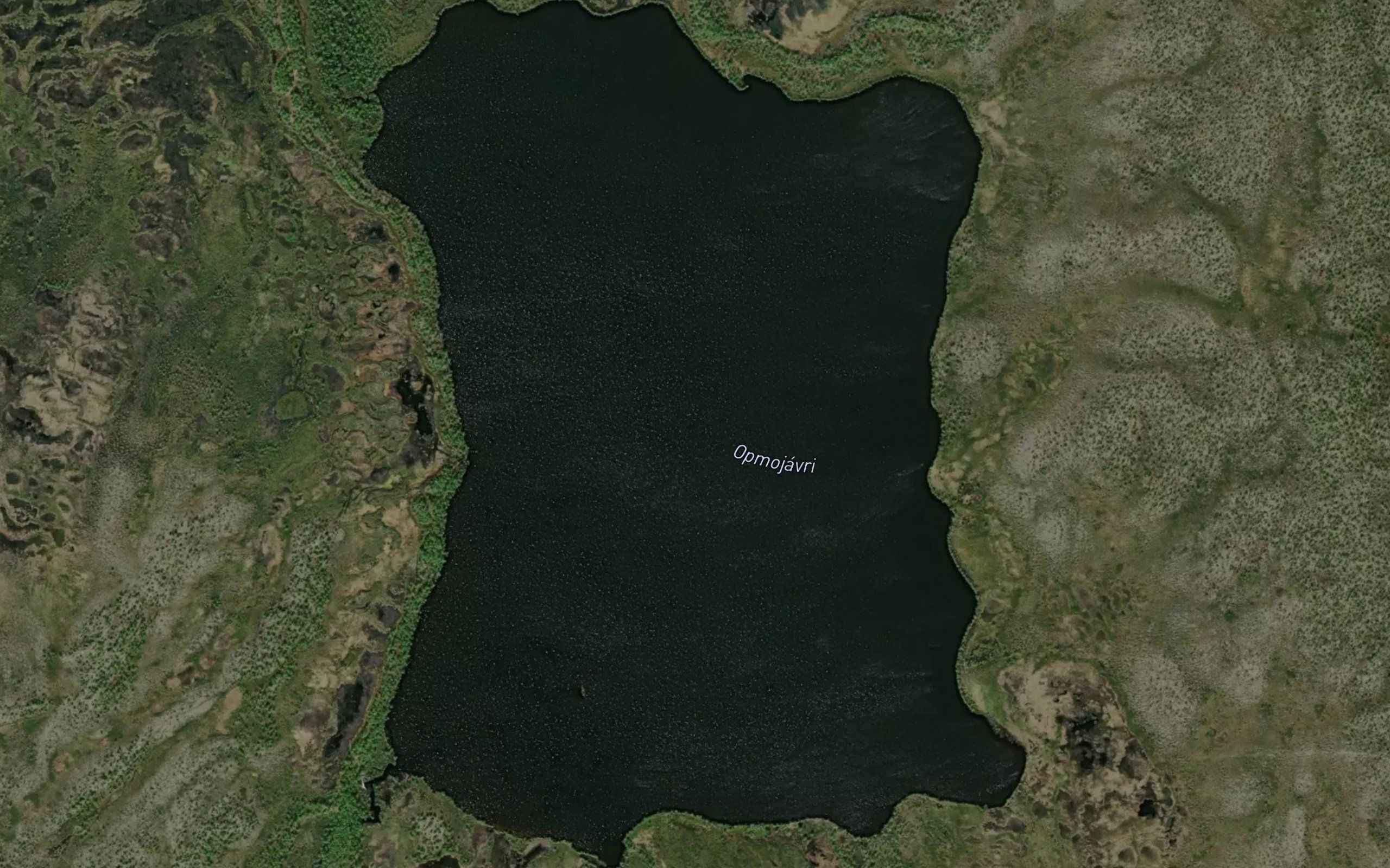 Abmujavri