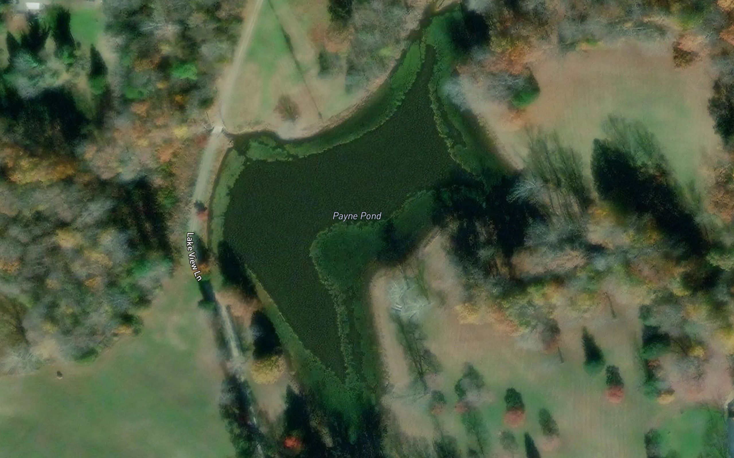 Payne Pond