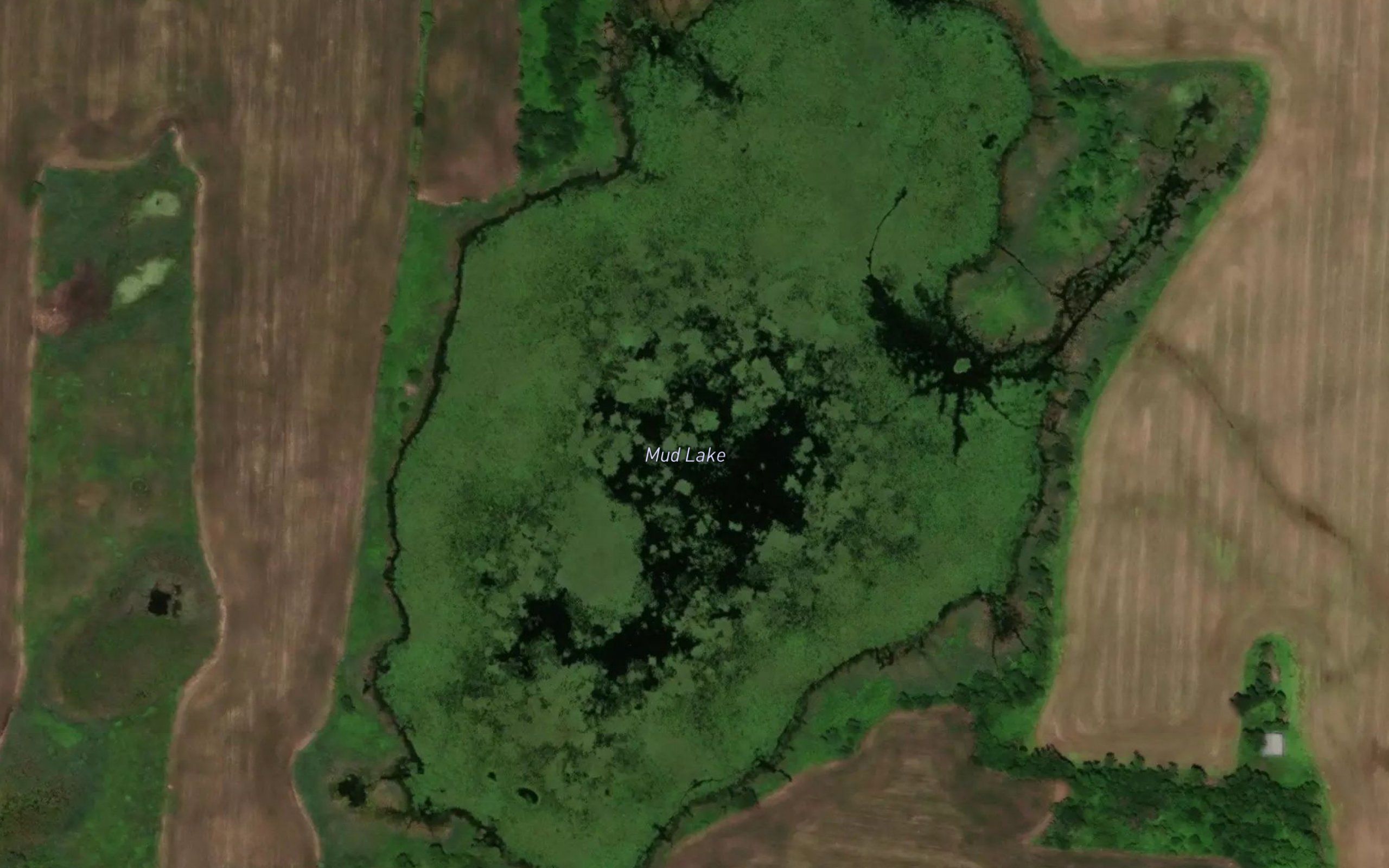 Mud Lake