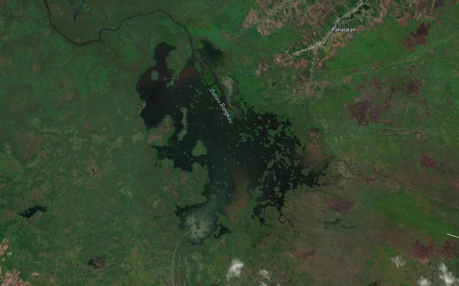 Satellite map of the Danau Bangkau