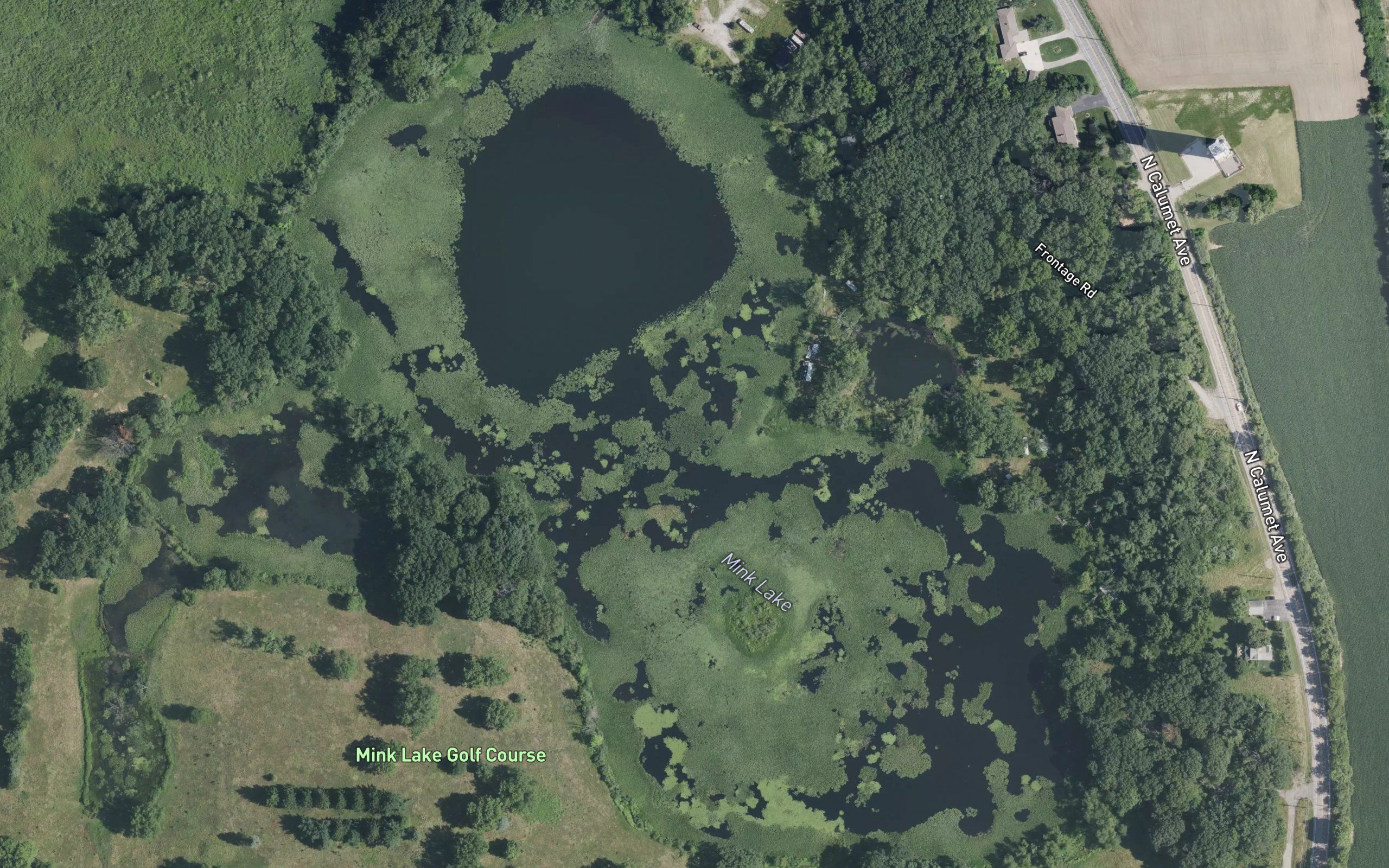 Mink Lake