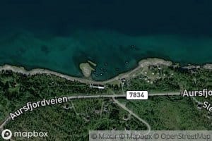 Tommervika