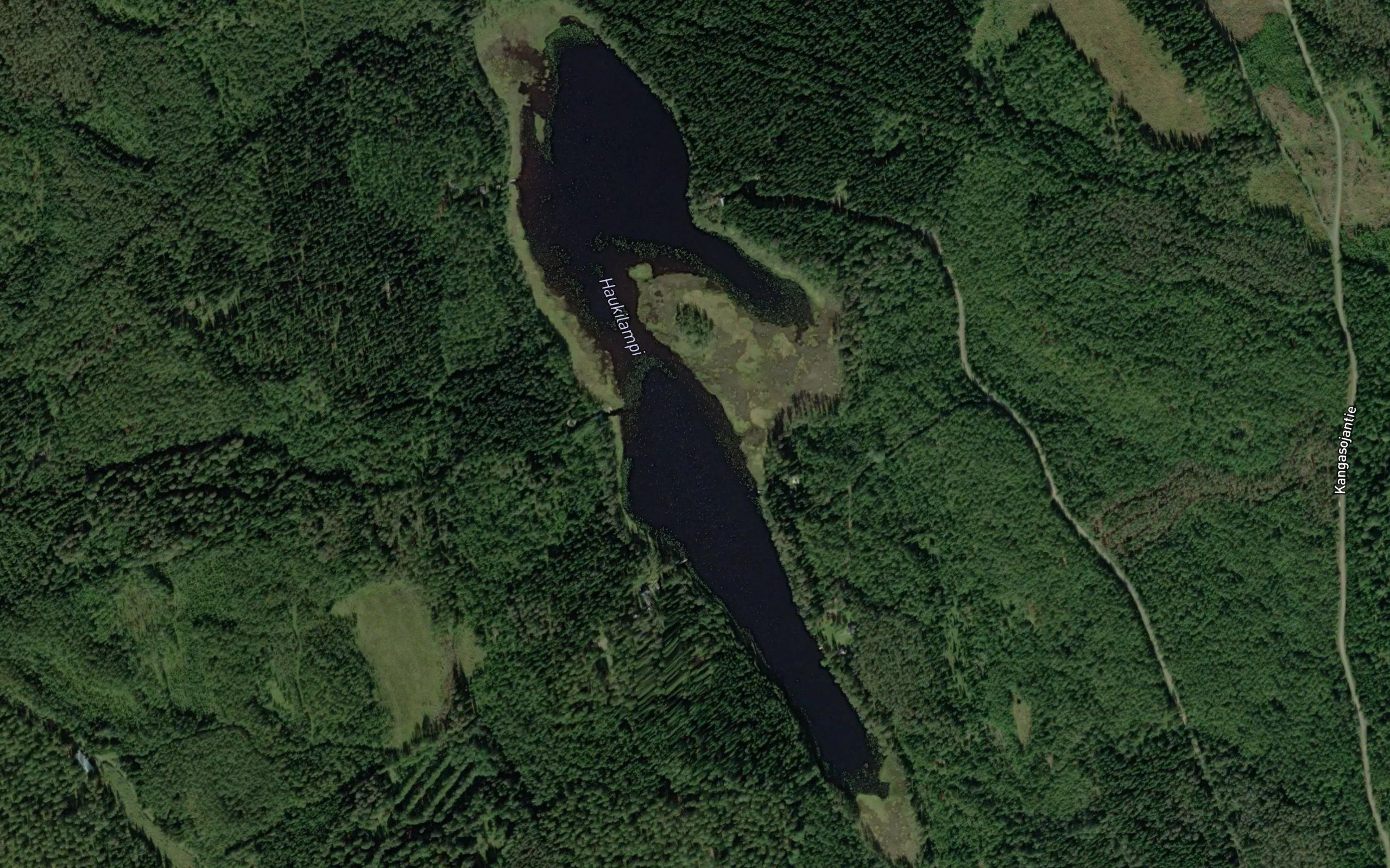 Haukilampi