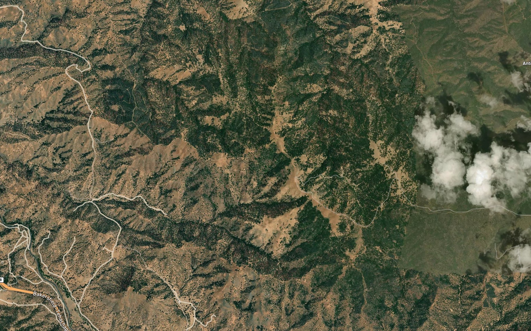 Satellite map of the Land Company Spring