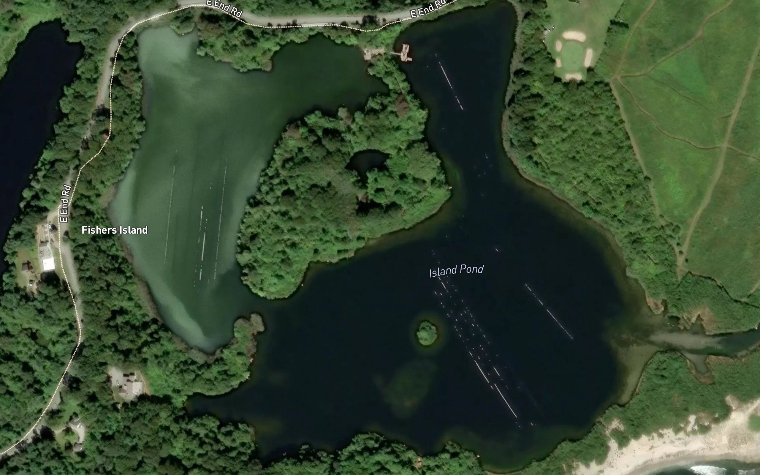 Island Pond