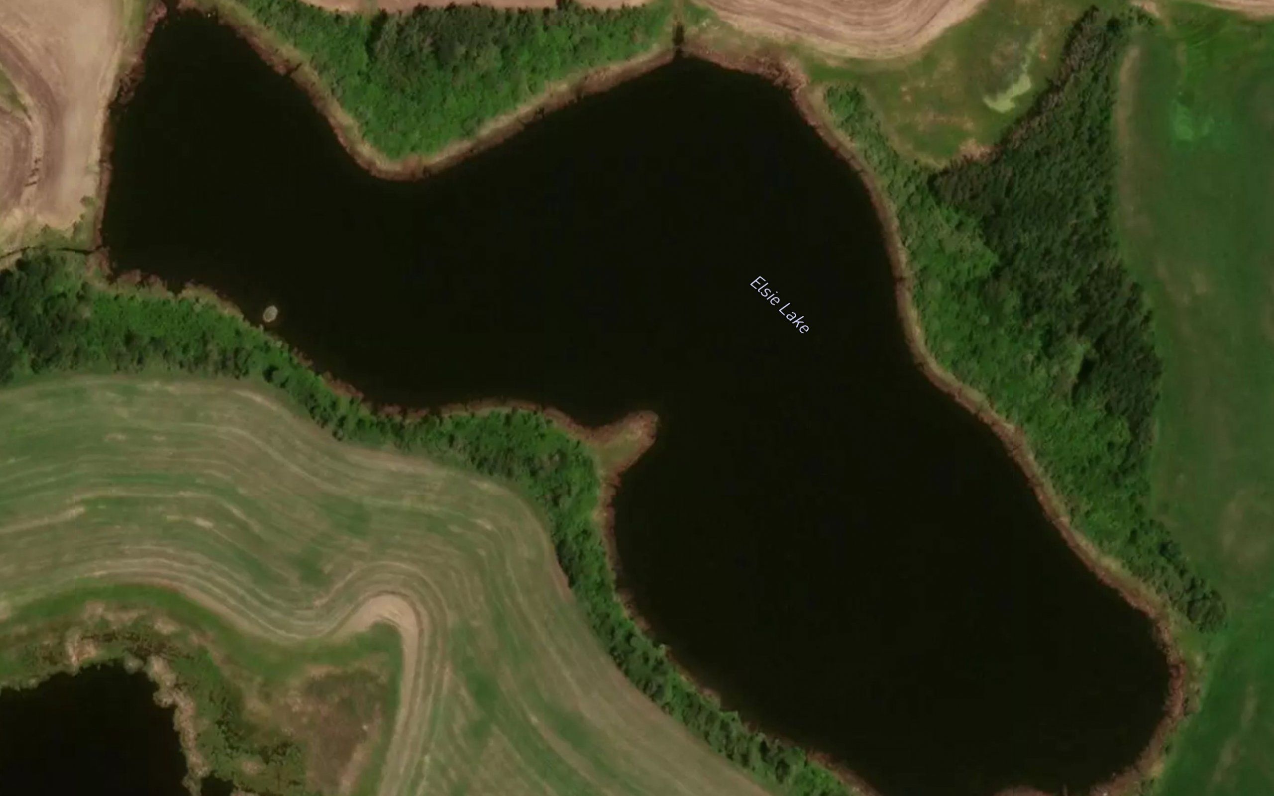 Elsie Lake