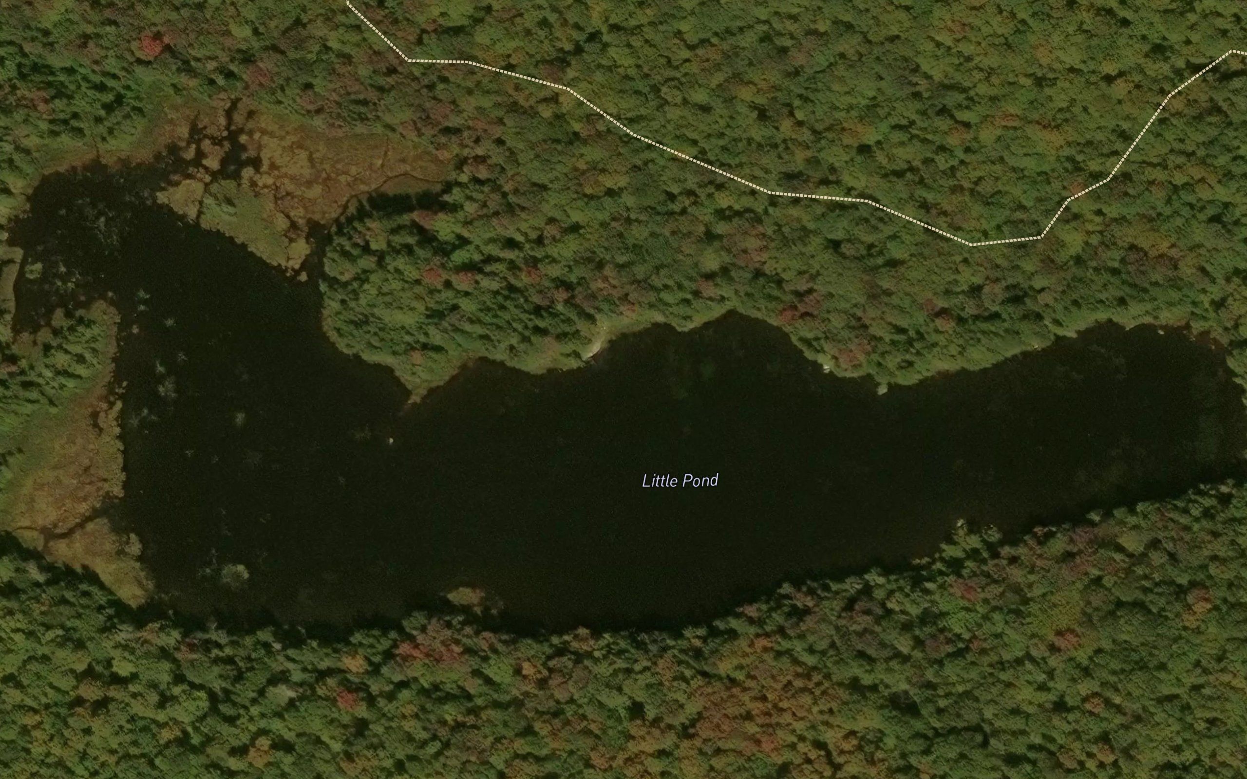 Little Pond