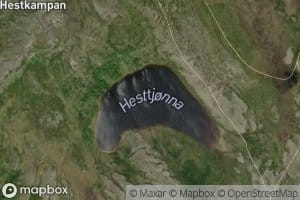 Hesttjonna