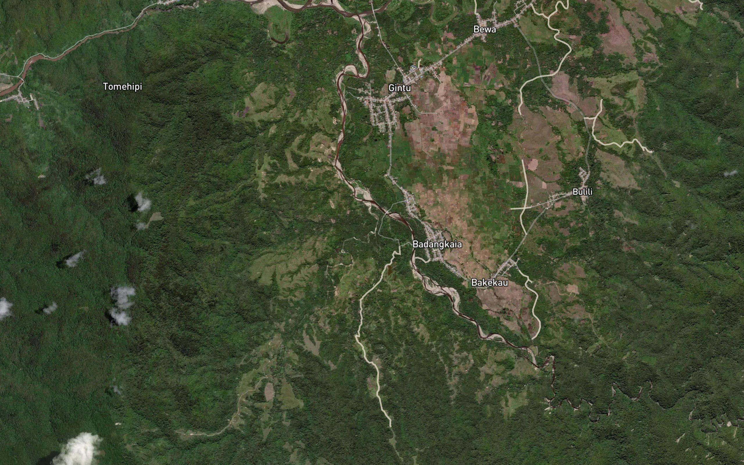 Halu Tangkani