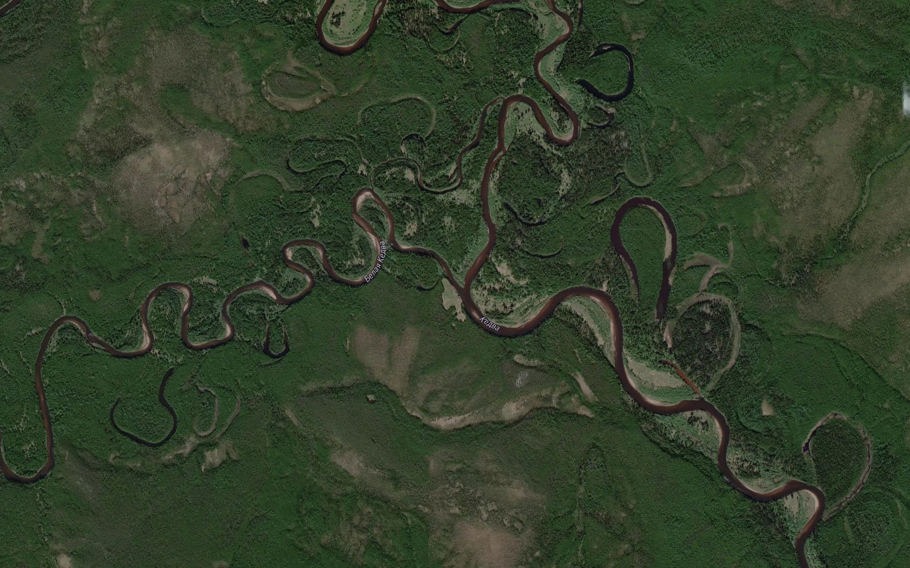 Satellite map of the Belaya Kedva