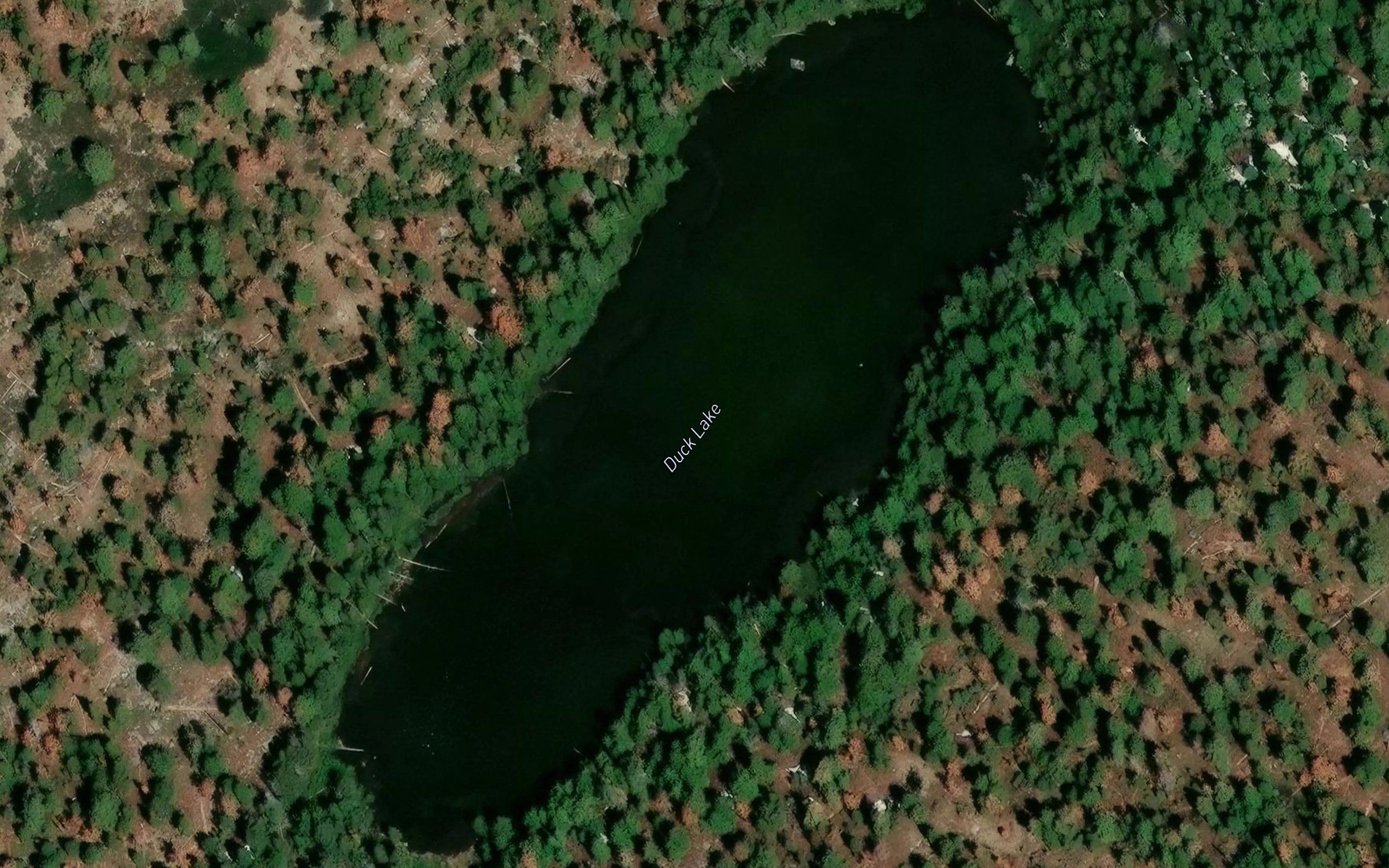 Duck Lake