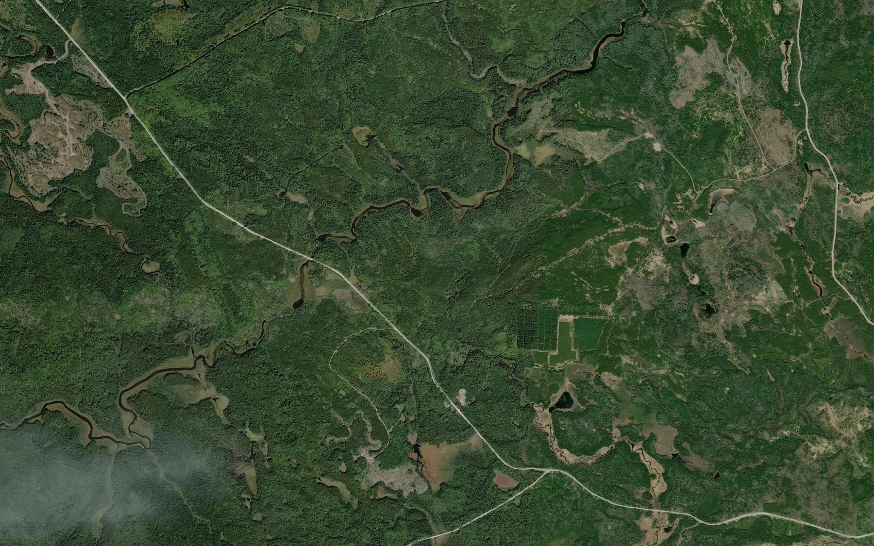 Satellite map of the Carson Creek