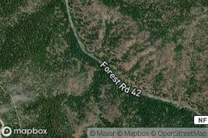 Thorn Creek